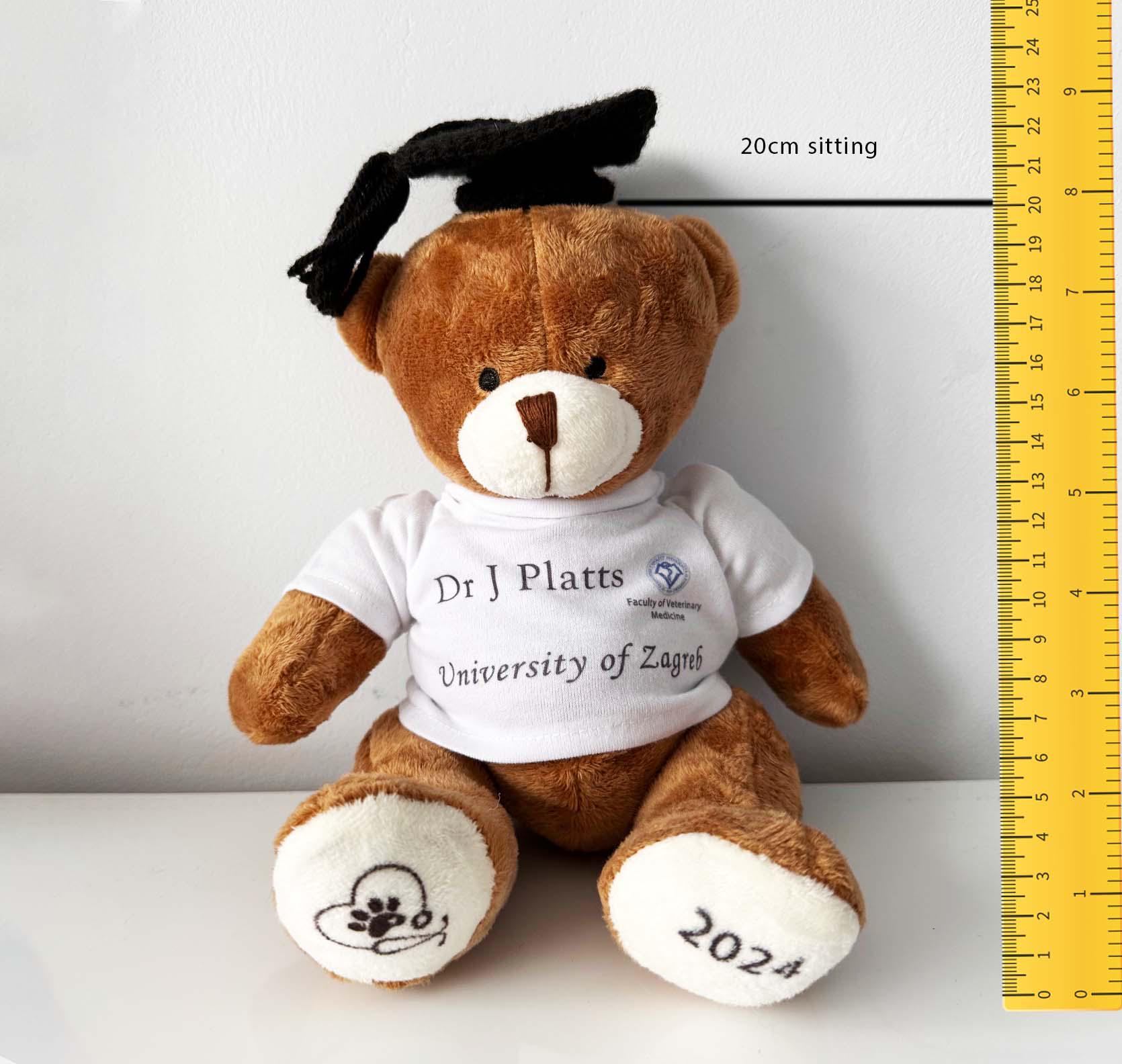 Custom Graduation Bear 2025 large Personalised Graduation Gift Bear with crochet mortar hat 2025 College Graduation Gift A levels GCSEs - Image 3