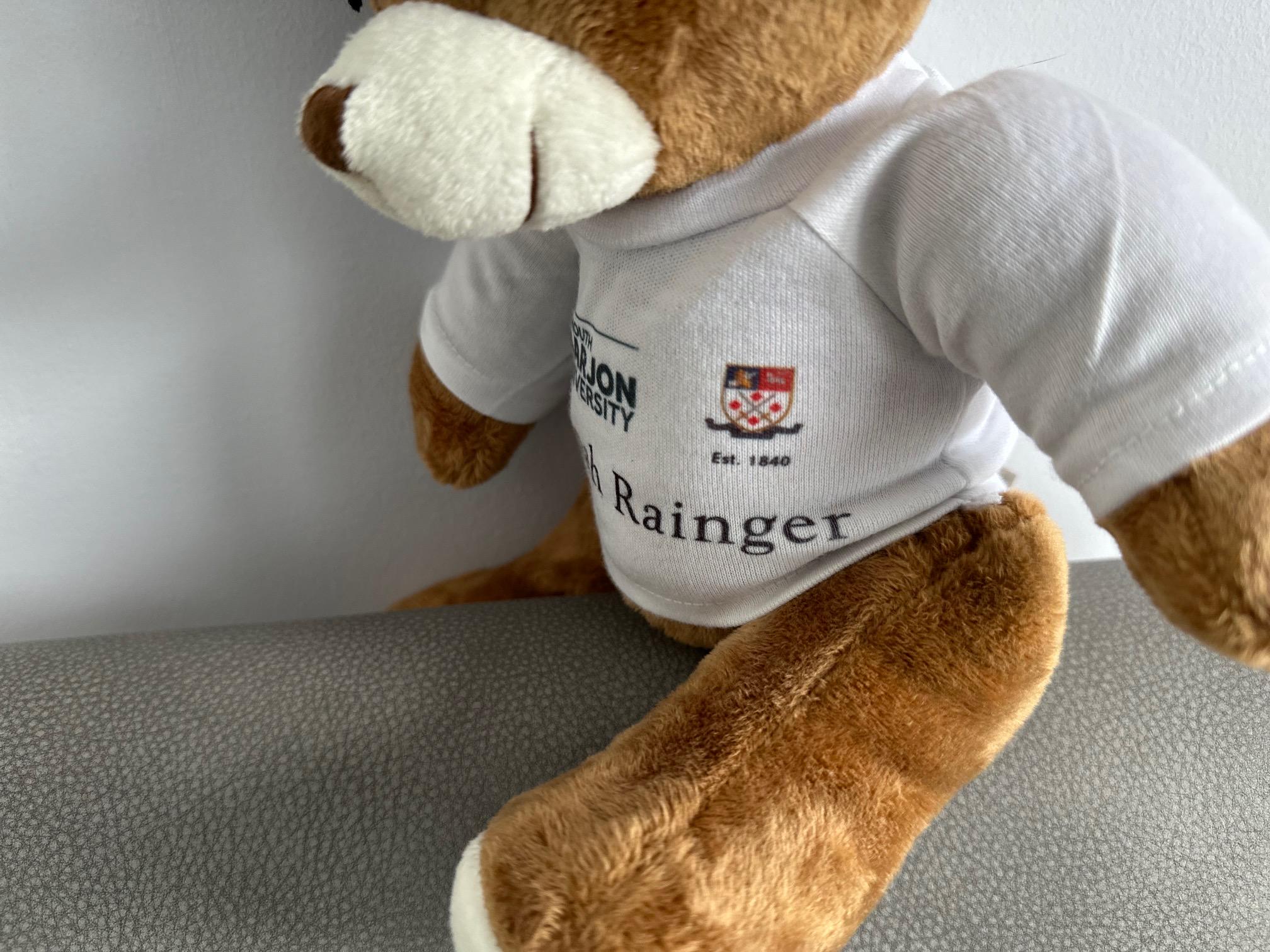 Custom Graduation Bear 2025 large Personalised Graduation Gift Bear with crochet mortar hat 2025 College Graduation Gift A levels GCSEs - Image 9