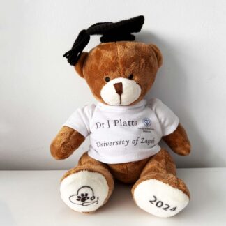 Custom Graduation Bear 2025 large Personalised Graduation Gift Bear with crochet mortar hat 2025 College Graduation Gift A levels GCSEs