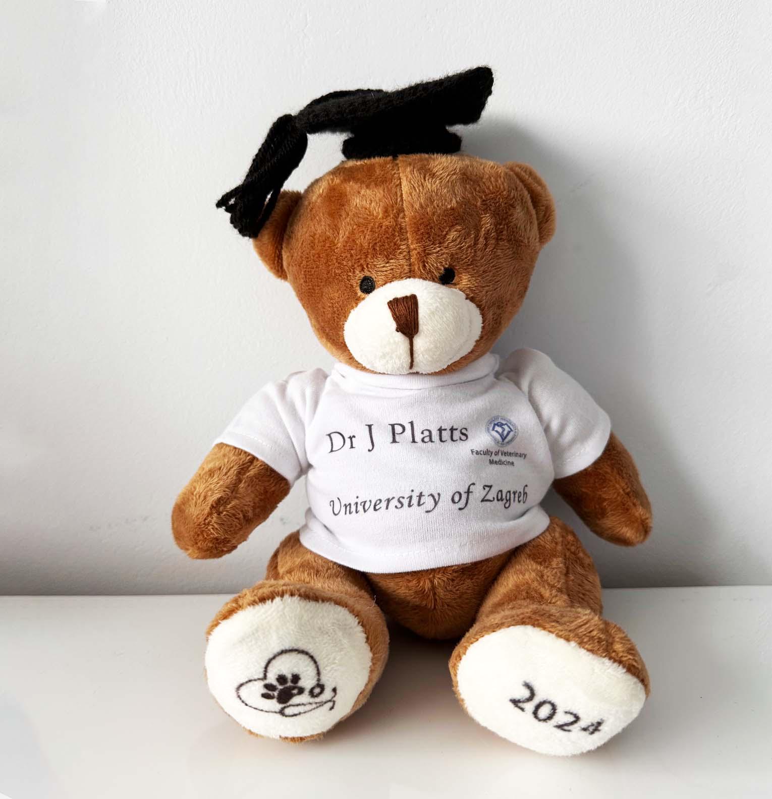 Custom Graduation Bear 2025 large Personalised Graduation Gift Bear with crochet mortar hat 2025 College Graduation Gift A levels GCSEs