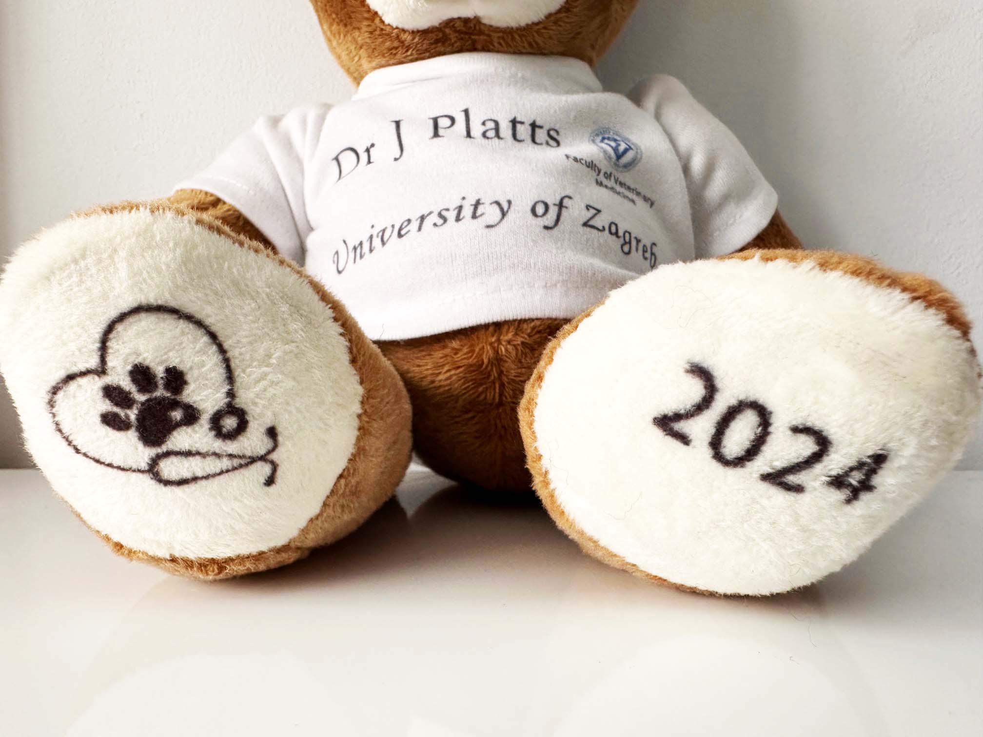 Custom Graduation Bear 2025 large Personalised Graduation Gift Bear with crochet mortar hat 2025 College Graduation Gift A levels GCSEs - Image 6