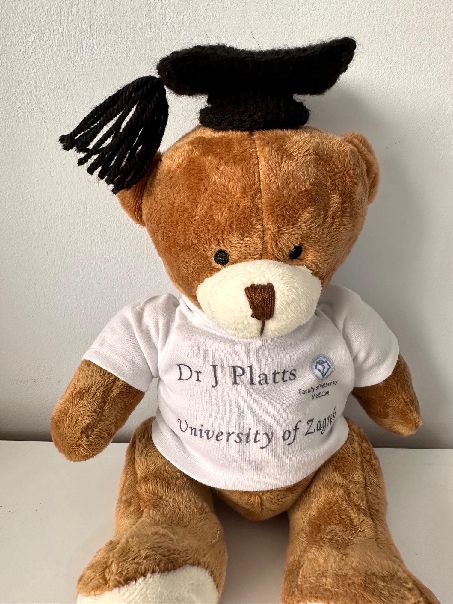 Custom Graduation Bear 2025 large Personalised Graduation Gift Bear with crochet mortar hat 2025 College Graduation Gift A levels GCSEs - Image 4