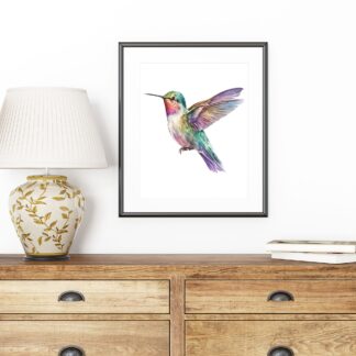 Humming birds Deluxe Wall Print, Wall Art, Watercolour Wall Prints, High quality, colourful watercolour for any room