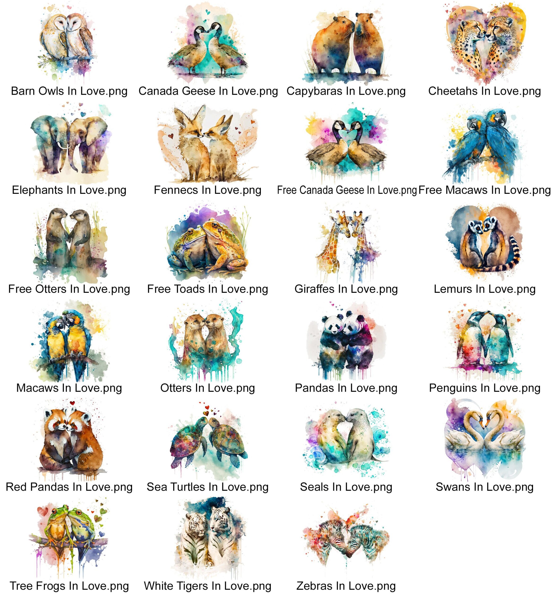 Deluxe Watercolour Animal Wall Art Print – Penguins, Elephants, Turtles, Pandas, Owls & Giraffes – Animals in Love Nursery Decor - Image 8