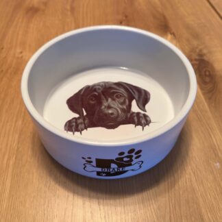 Personalised large ceramic dog bowl, personalised with name and / or image / photo
