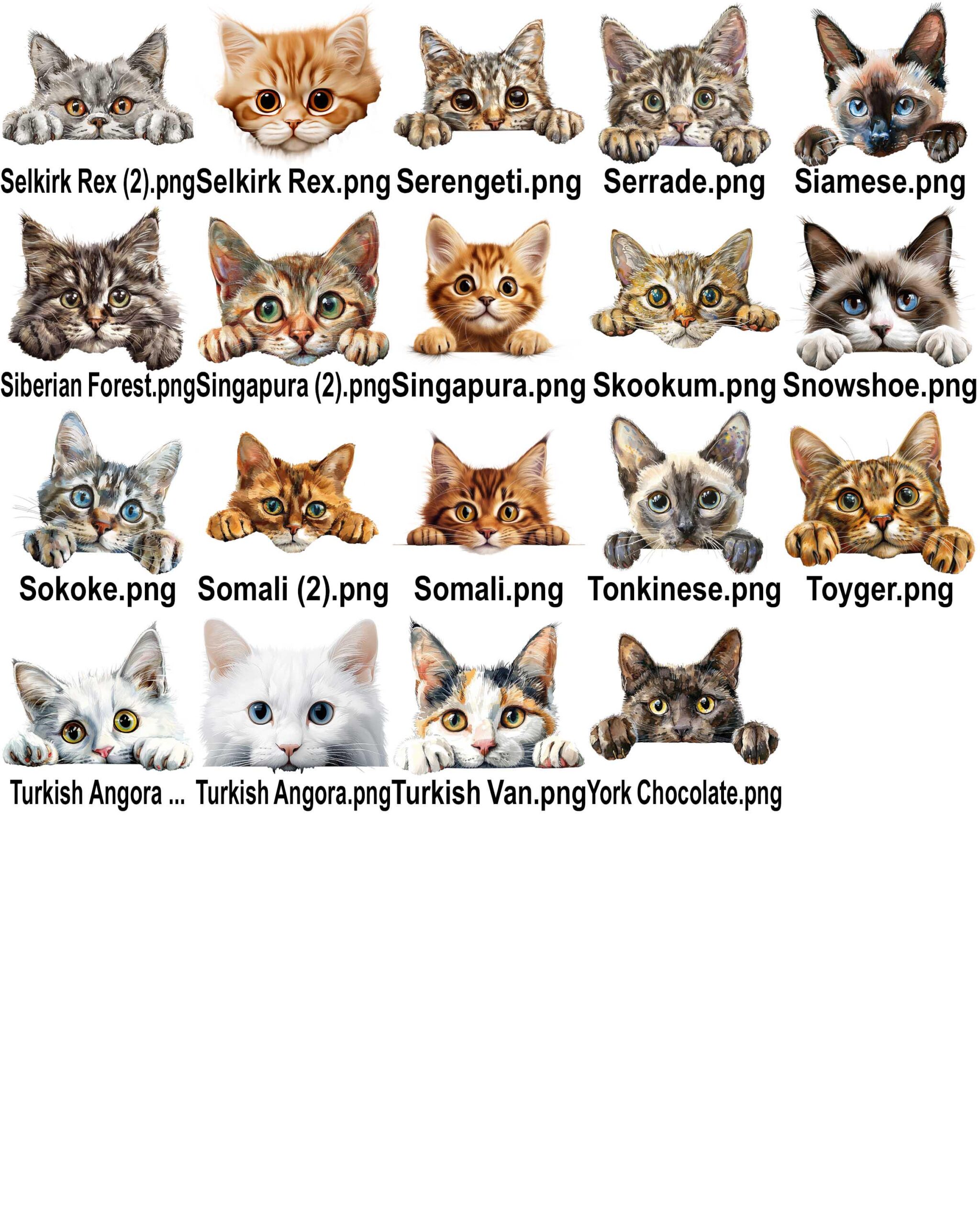 Funny Cat Bathroom Sign | Cat Lover Gift | Pet Bathroom Decor - Image 10