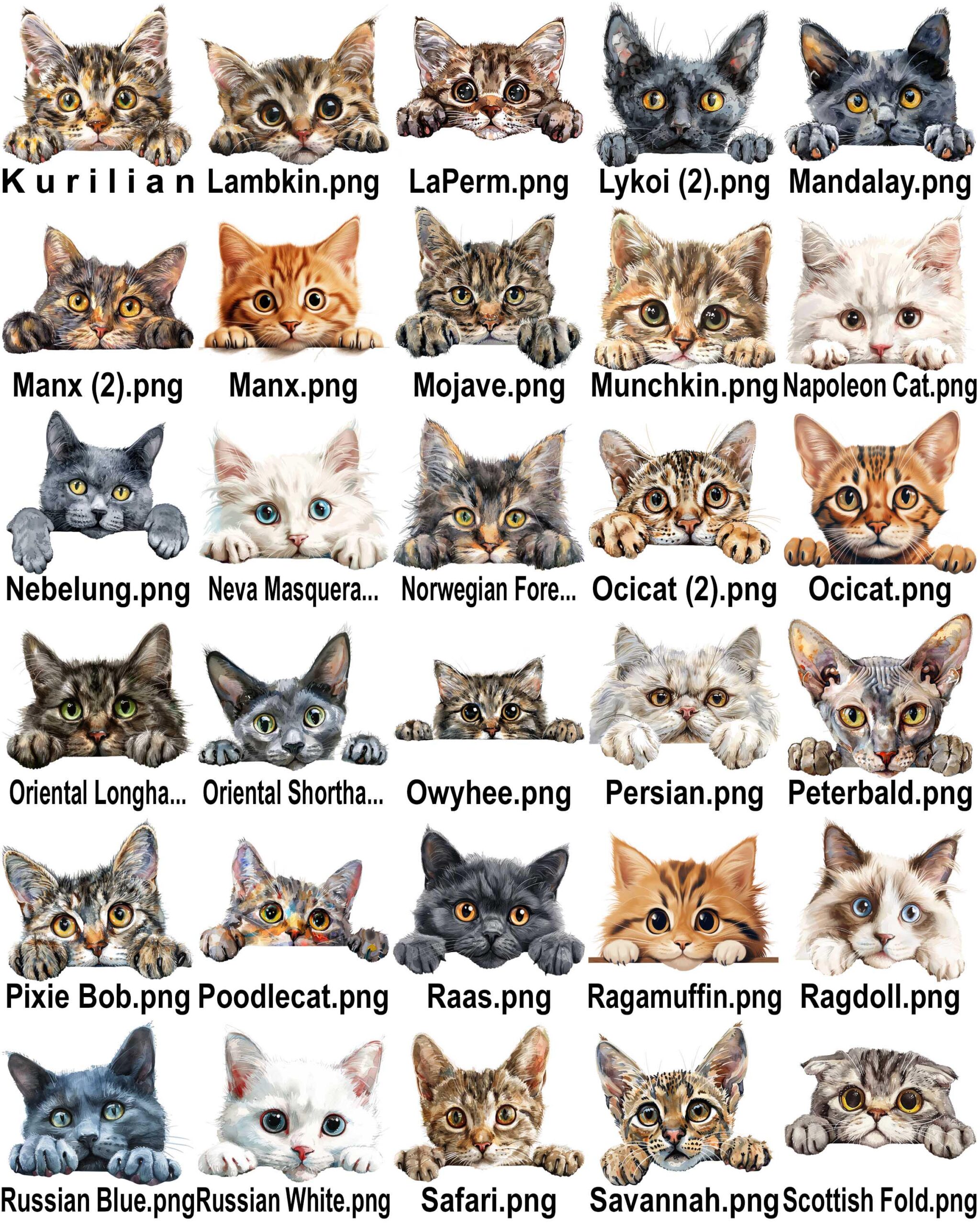 Funny Cat Bathroom Sign | Cat Lover Gift | Pet Bathroom Decor - Image 9