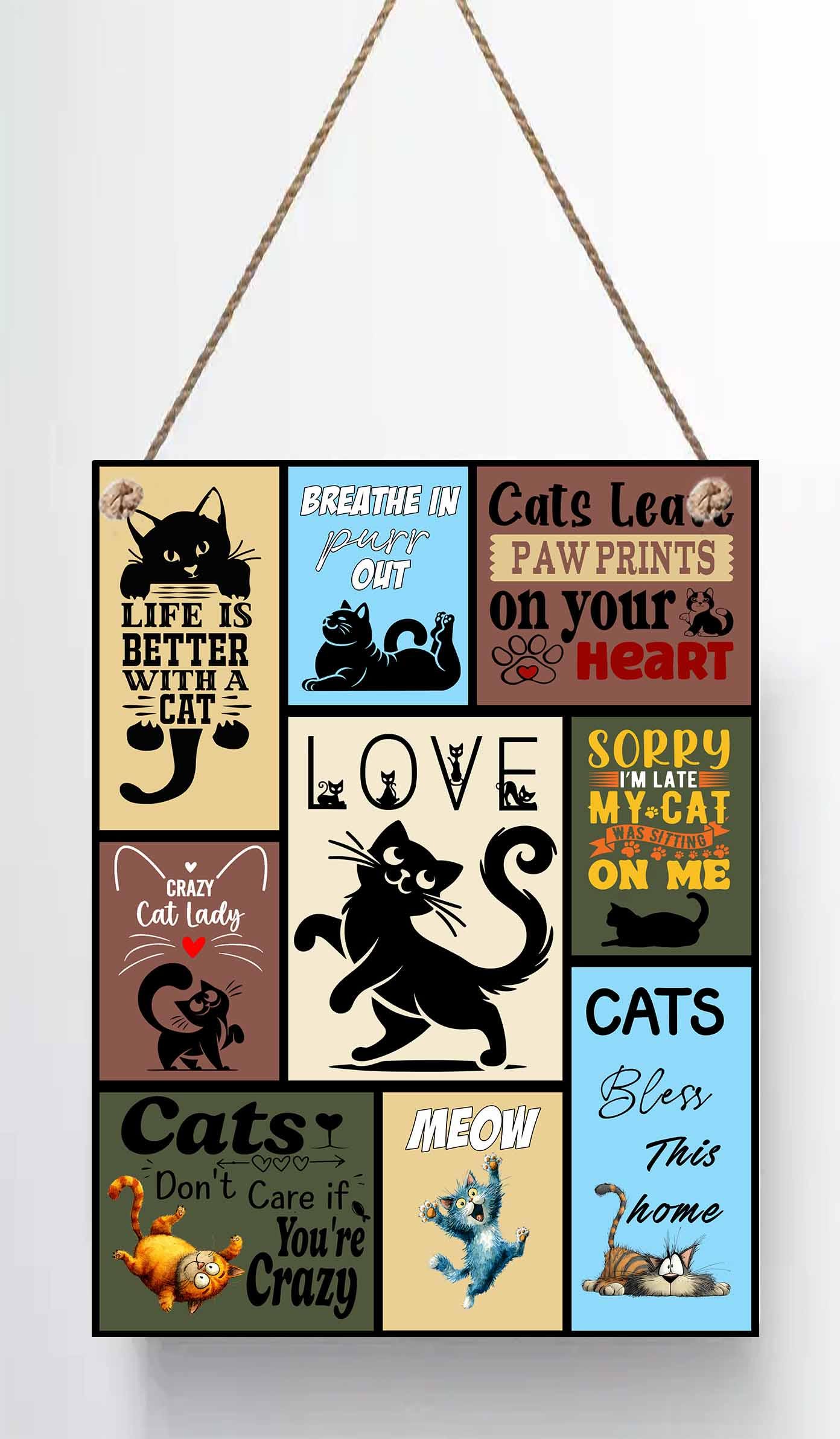 Funny Crazy Cat Lady Sign – Vintage Cat Lover Metal Plaque – Distressed Wall Hanging Home Décor Gift (8x6") - Image 2