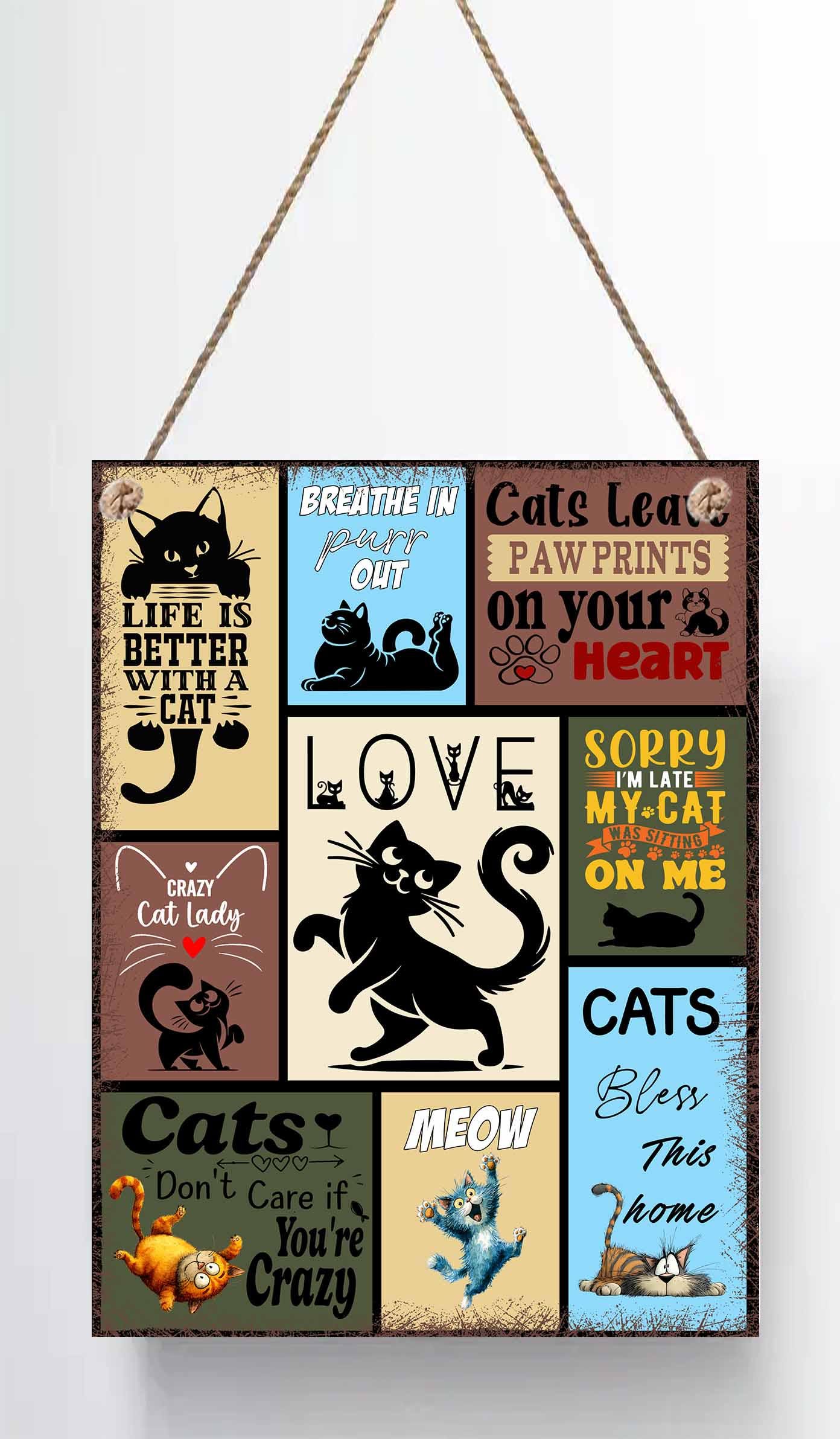 Funny Crazy Cat Lady Sign – Vintage Cat Lover Metal Plaque – Distressed Wall Hanging Home Décor Gift (8x6") - Image 3