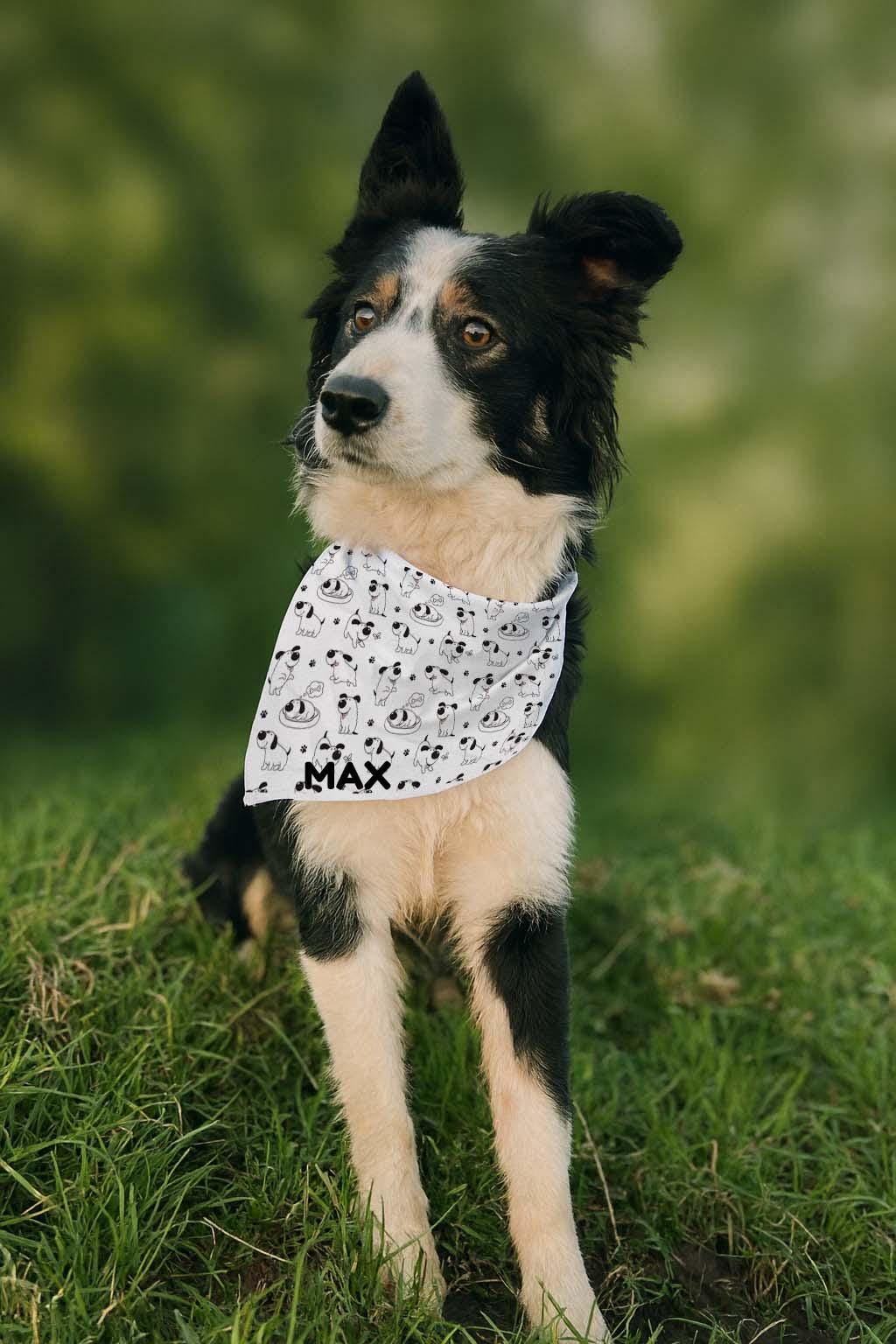 Personalised Dog Bandana – Custom Pet Neckwear – Adjustable Dog Scarf for Small, Medium & Large Dogs - Image 3