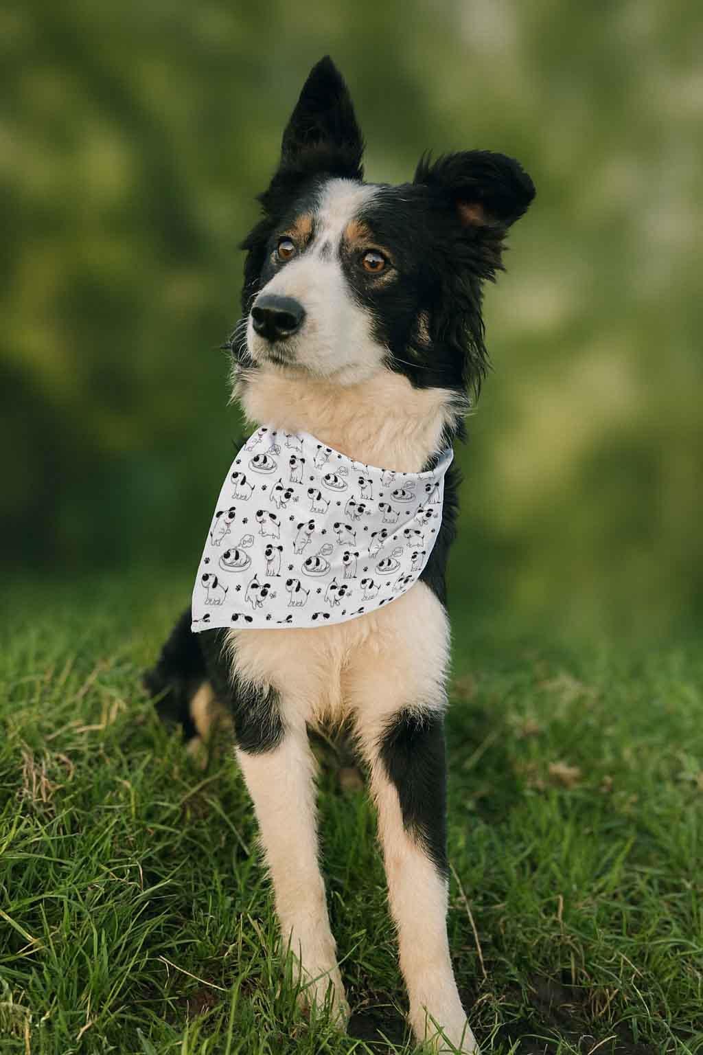 Personalised Dog Bandana – Custom Pet Neckwear – Adjustable Dog Scarf for Small, Medium & Large Dogs - Image 2